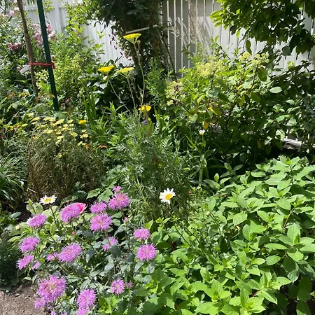 Gumann Apartament